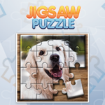 Jigsaw Puzzle